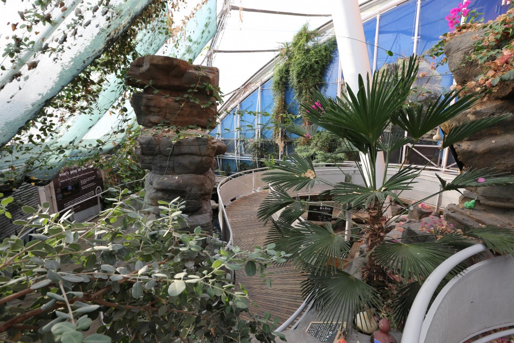 Opening Hours & Ticket Prices Bristol Aquarium