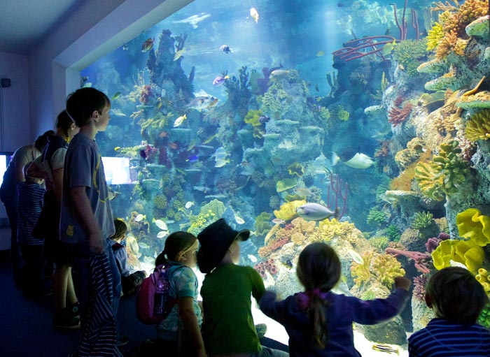 Bristol Aquarium