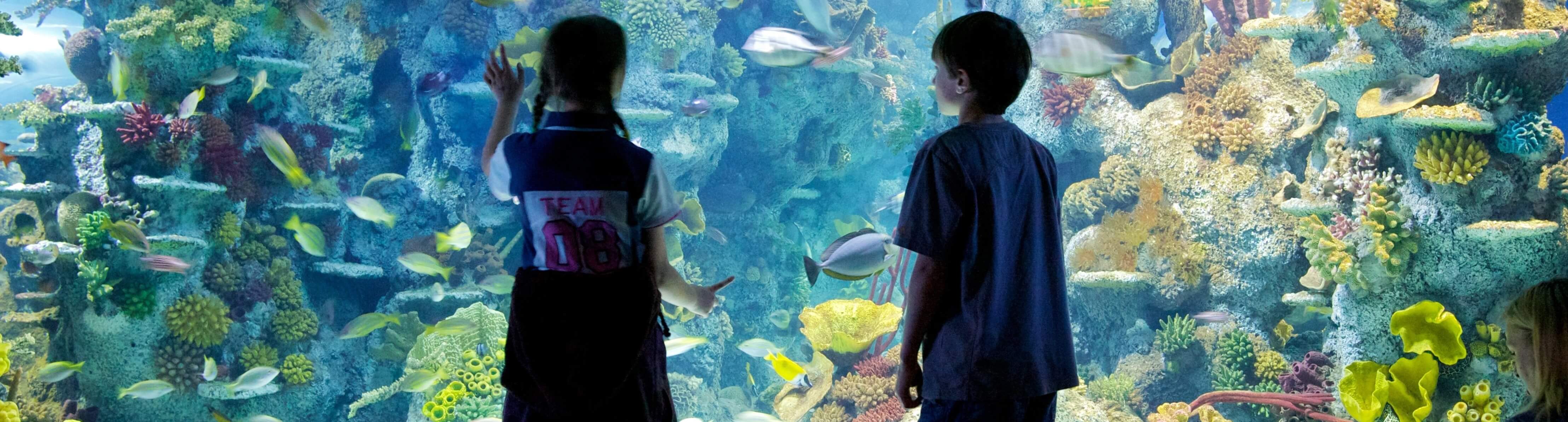 Newsletter suscribe form Bristol Aquarium