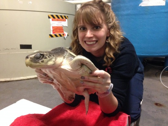 Liv Orchart with Kemp's Ridley_18.12.15_Sarah Moore (1)
