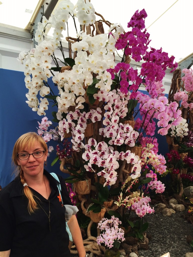 Bristol Aquarium's Wendy Desyllas with the orchid display at Hampton Court Flower Show