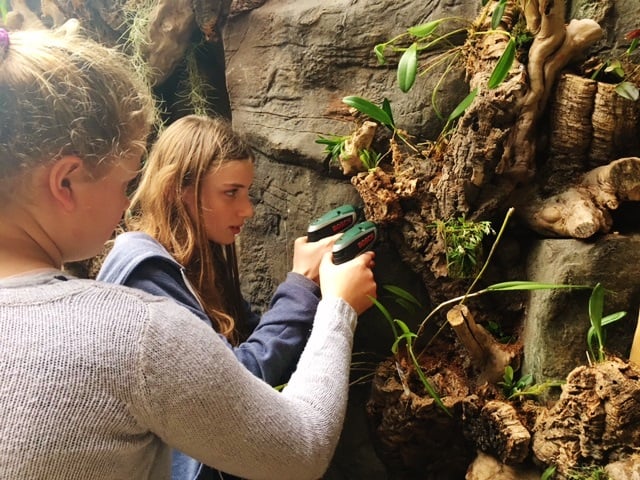 Writhlington School students help create the new Cloud Forest orchid display at Bristol Aquarium