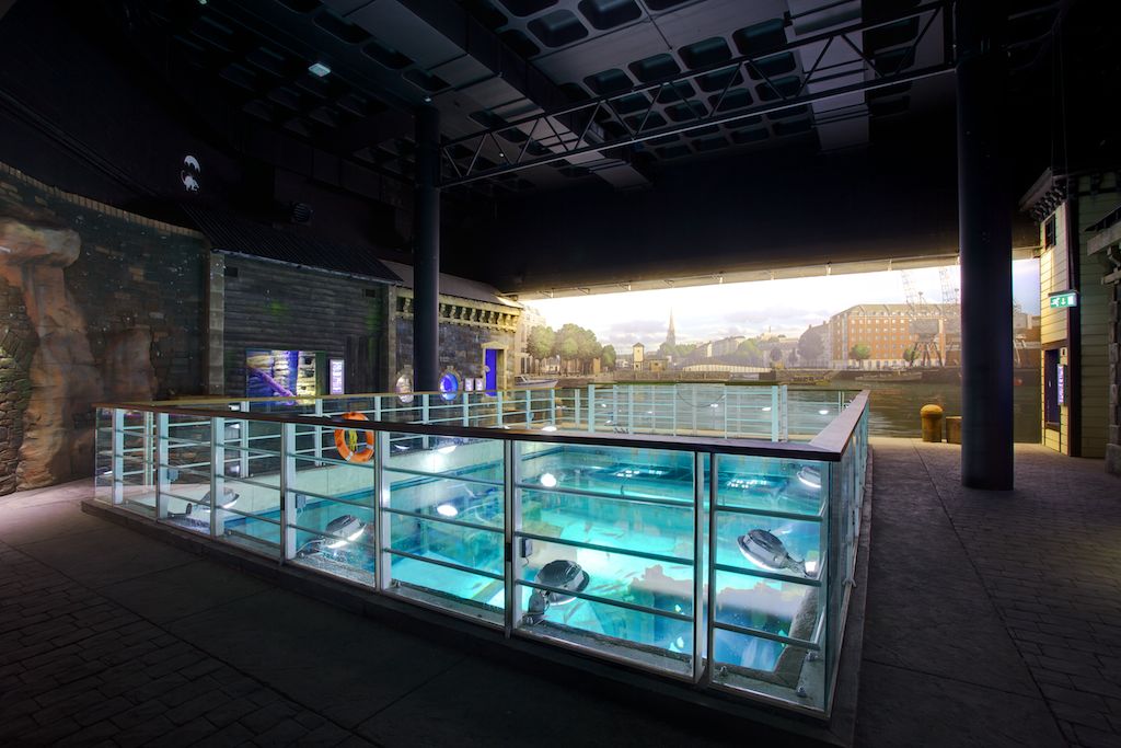 Spectacular Window Unveiled Bristol Aquarium
