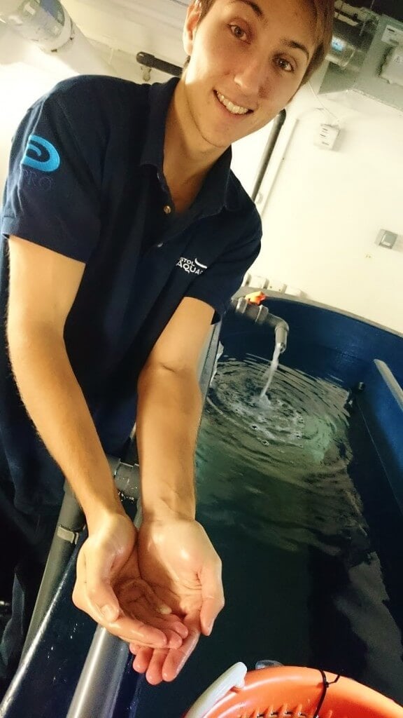 Biologist Matt Blee looking after his bumper haul of catsharks at Bristol Aquarium