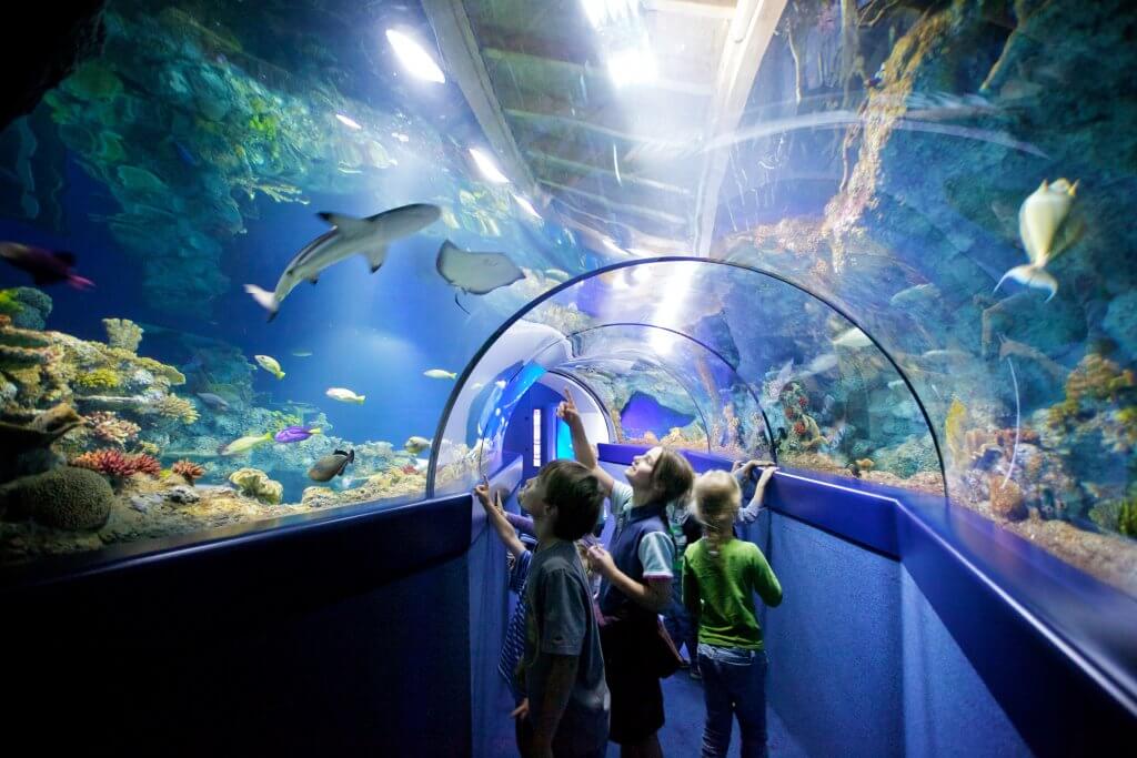 Underwater Tunnel