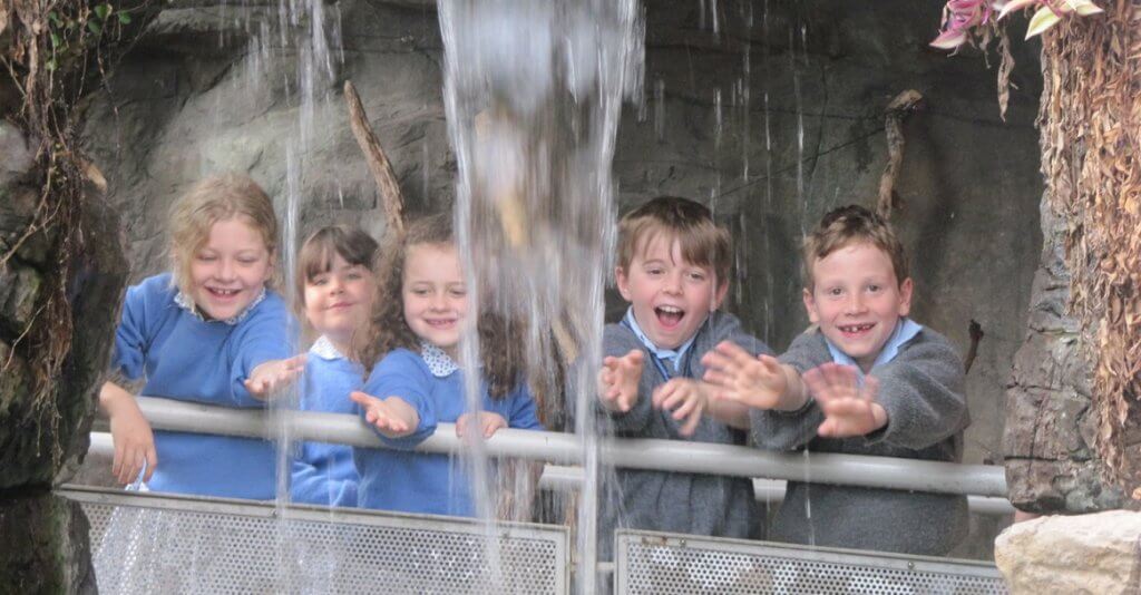 School group at Bristol Aquarium