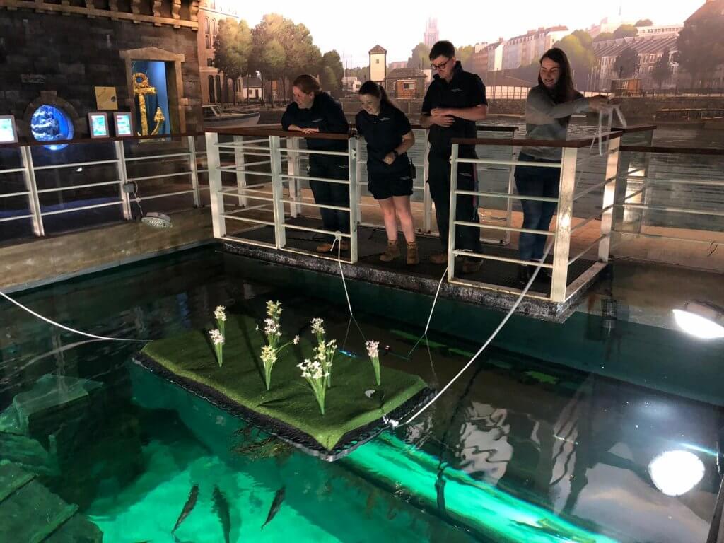 Floating island being added to the Native display at Bristol Aquarium