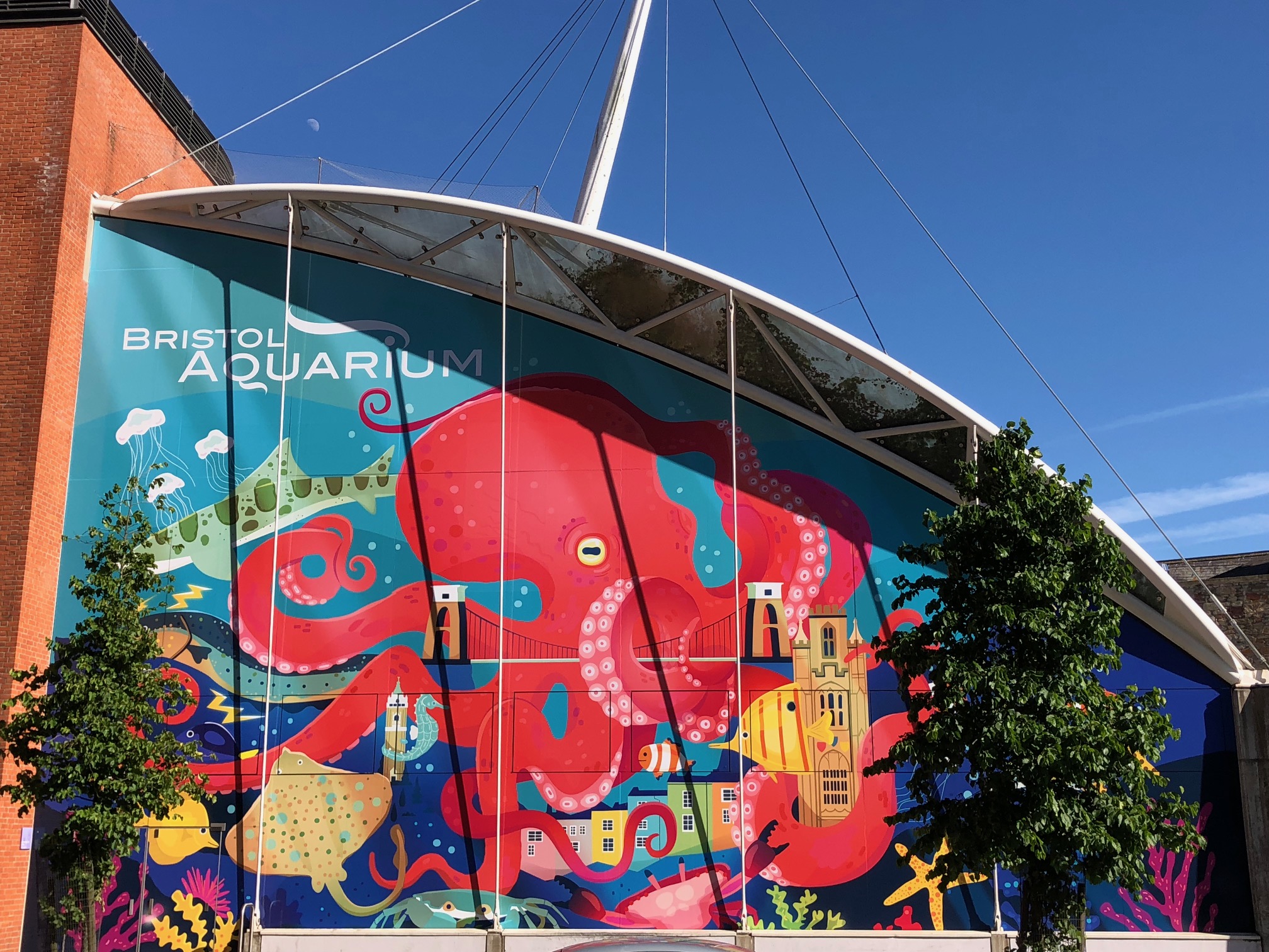 Opening Hours Visitor Information Bristol Aquarium