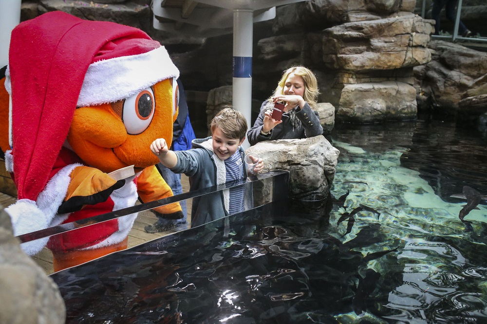Christmas Gift Ideas with Bristol Aquarium