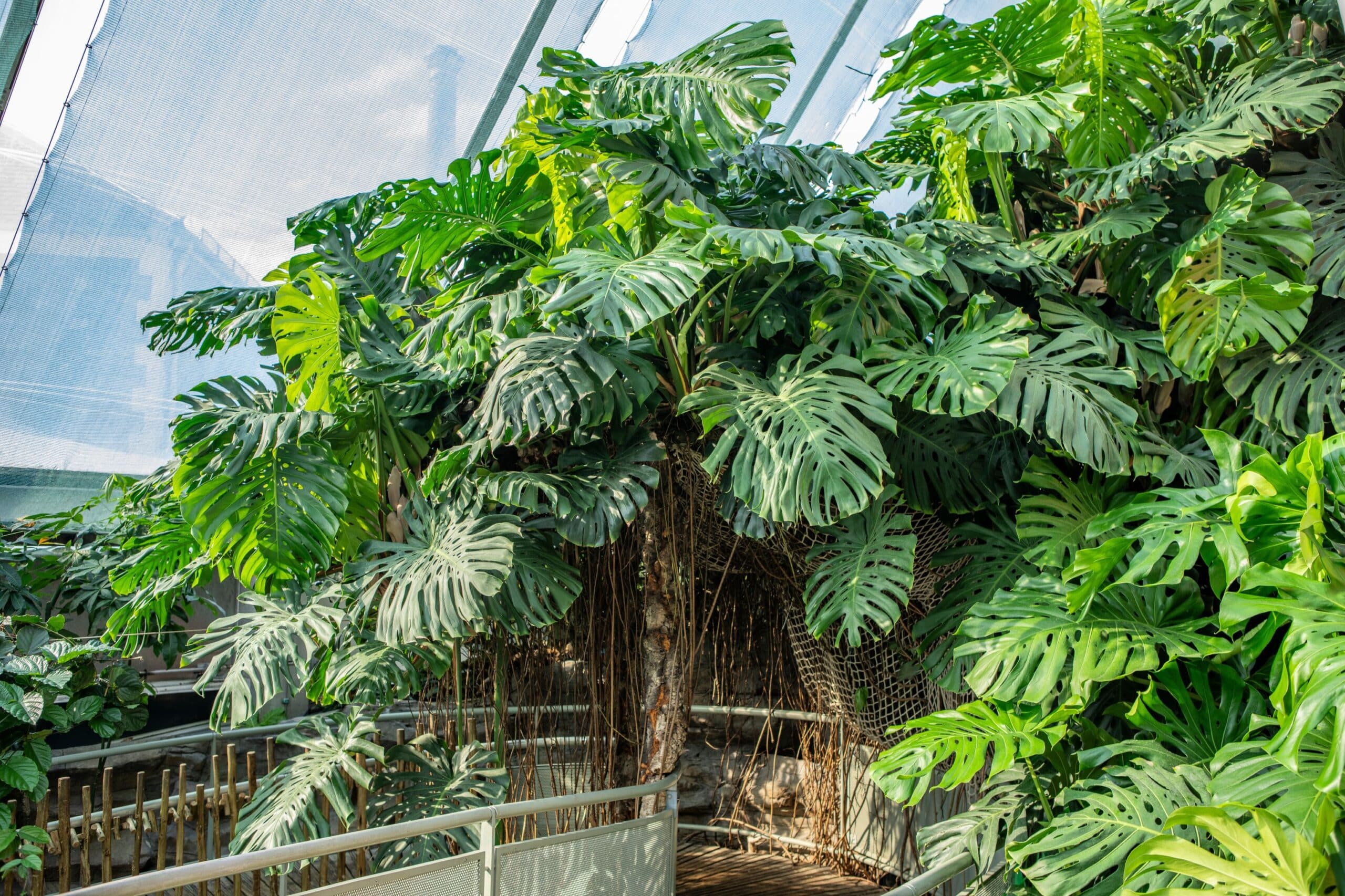 Untitled design (37)