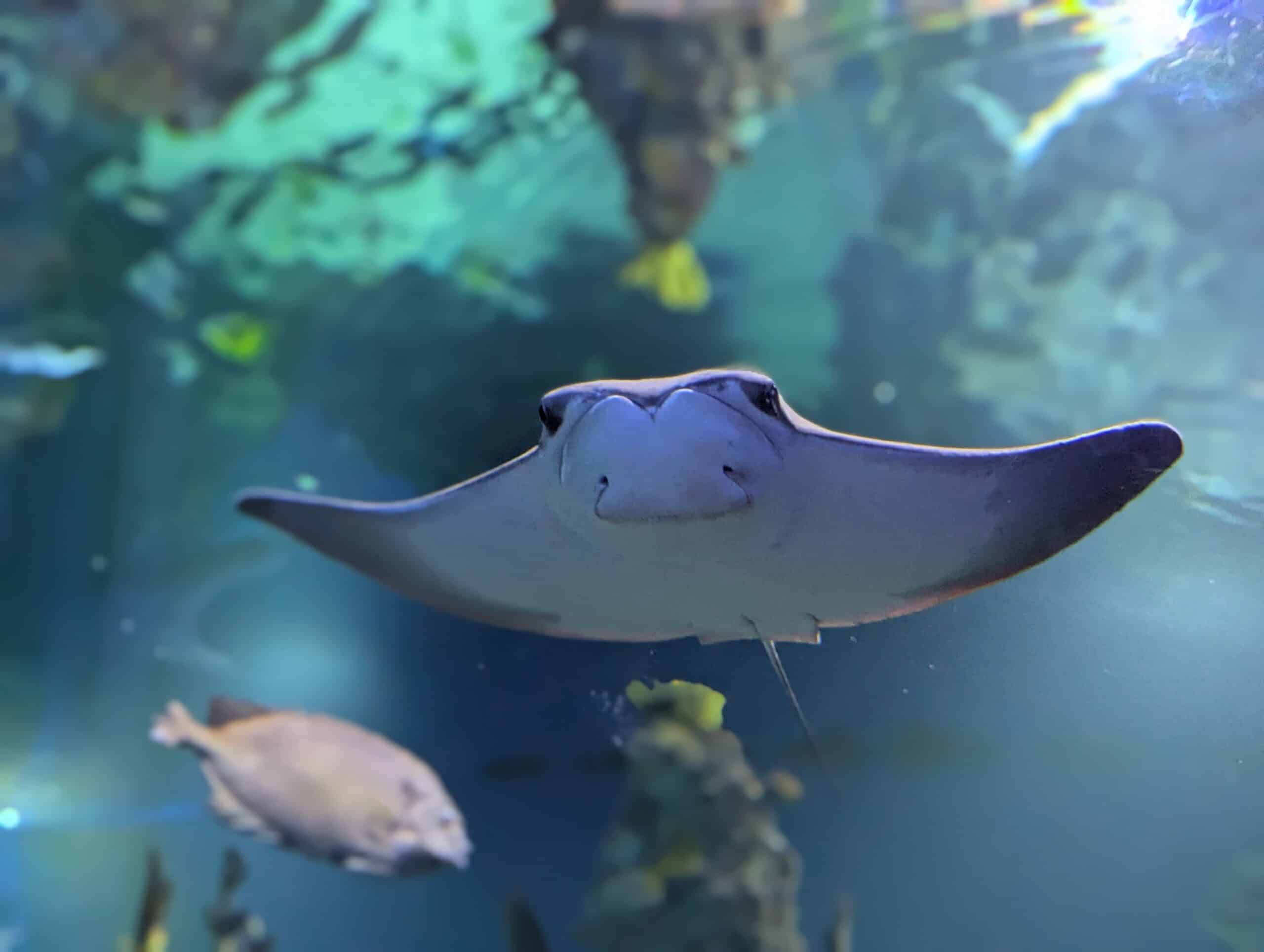 PXL_20260106_100224897.PORTRAIT