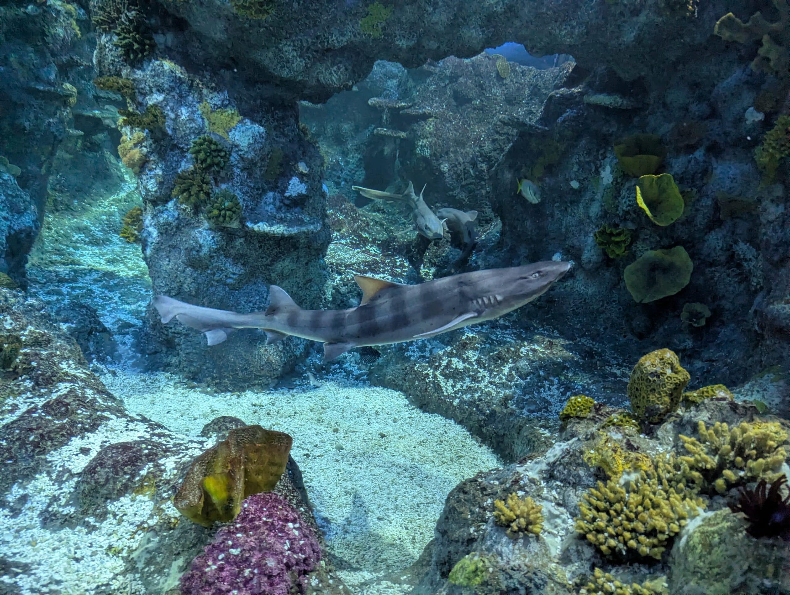 PXL_20251118_145619952