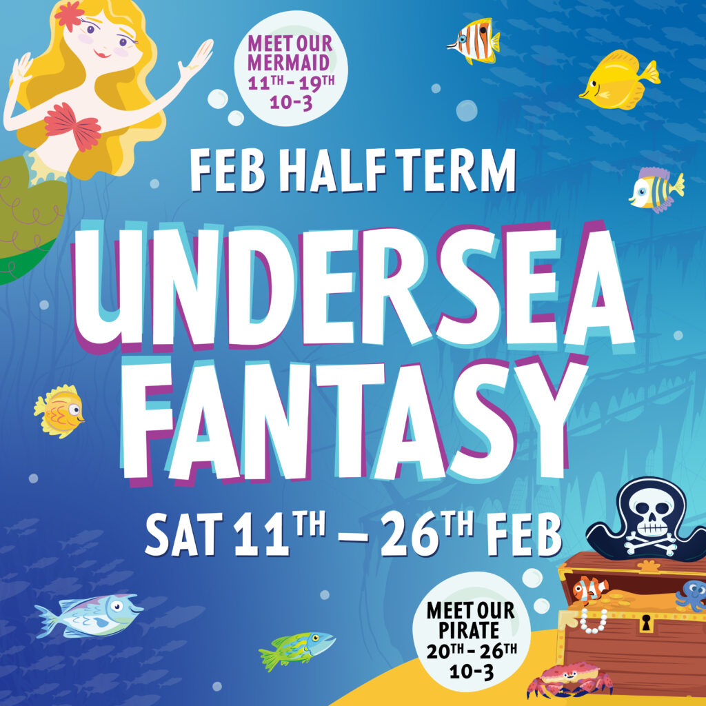 Undersea Fantasy at Bristol Aquarium