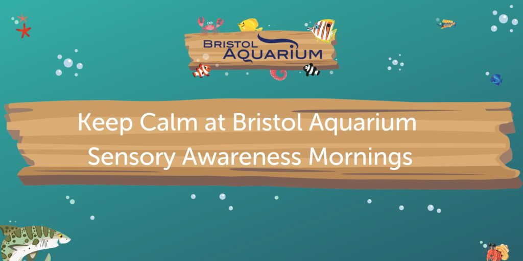 What's On Events and Experiences Bristol Aquarium