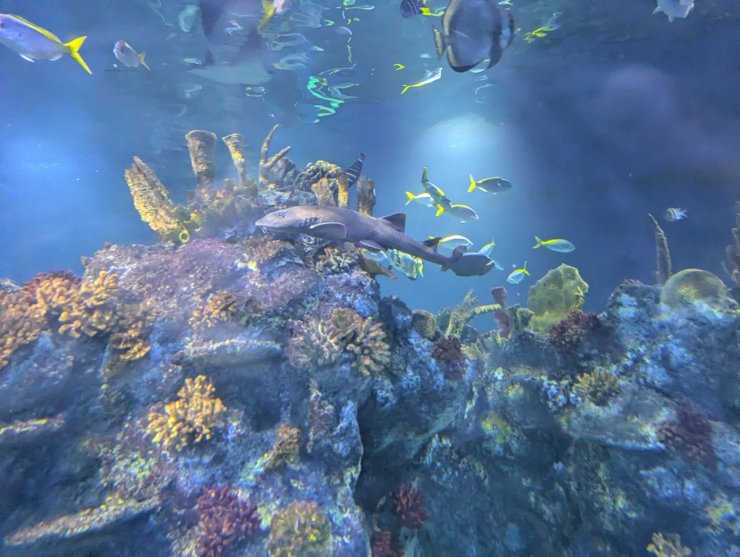 PXL_20251118_144107600