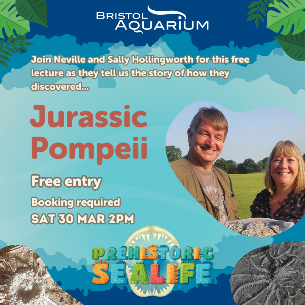 Jurassic Pompeii, free fossil talk on Saturday 30th March 2pm.