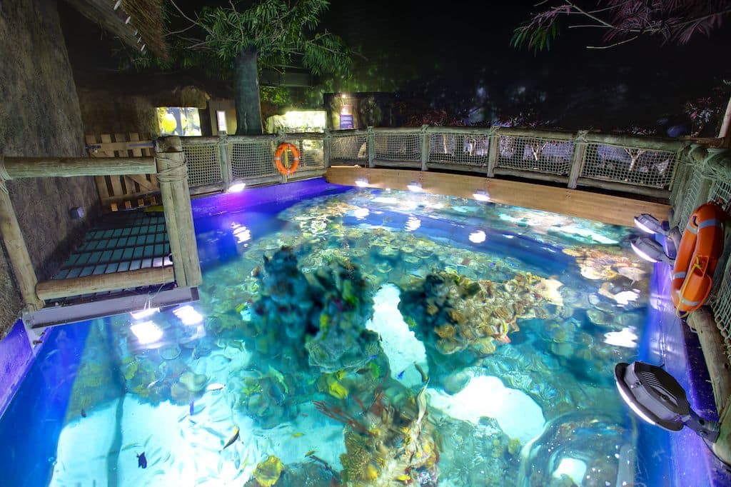 Bristol Aquarium Coral Seas