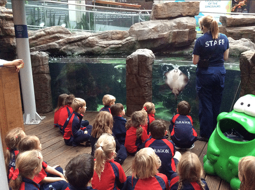 Paragon School Oct 2018