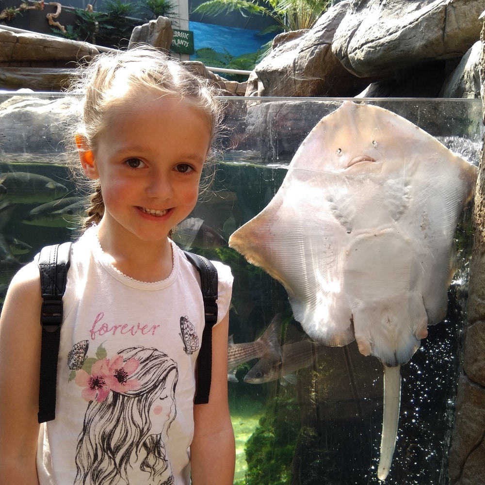 Phoebe with Rays