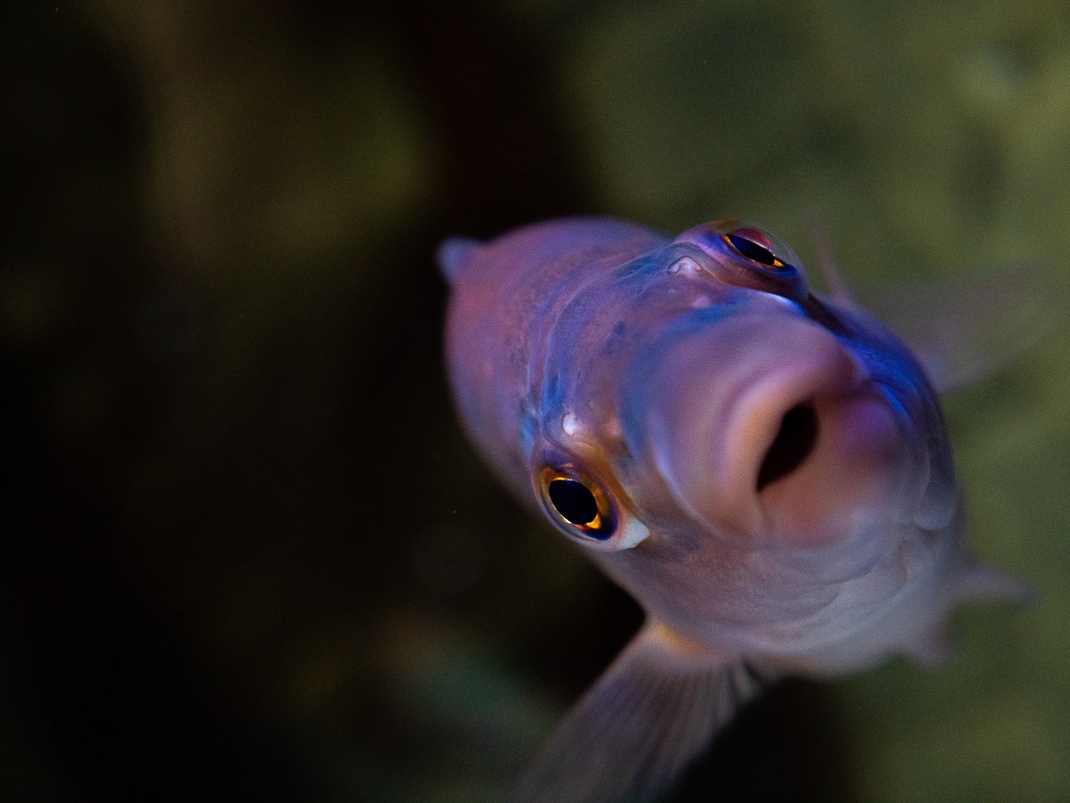 aquarium day 1 (7 of 12)