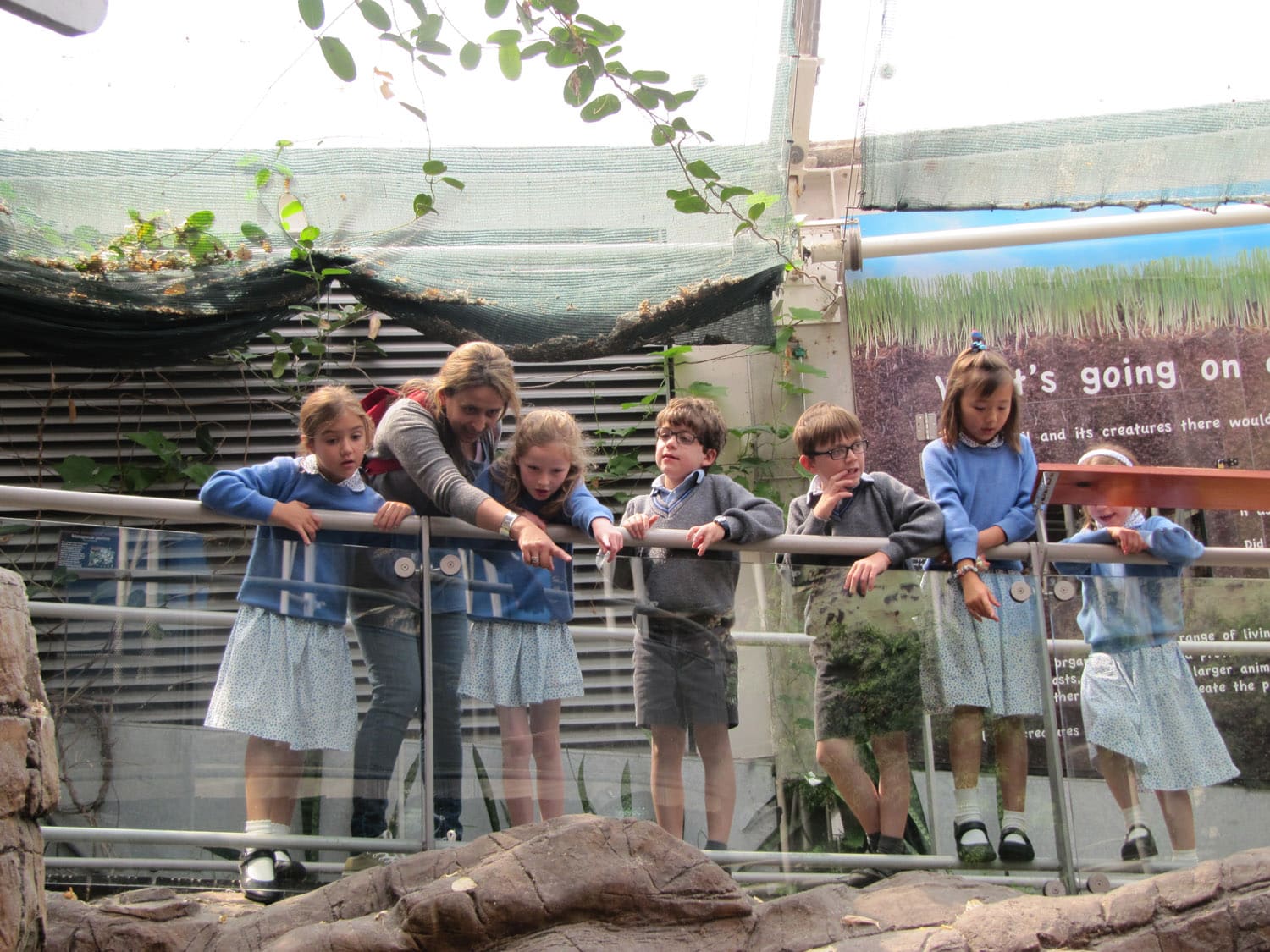 year-2-trip-to-bristol-aquarium_27711559982_o