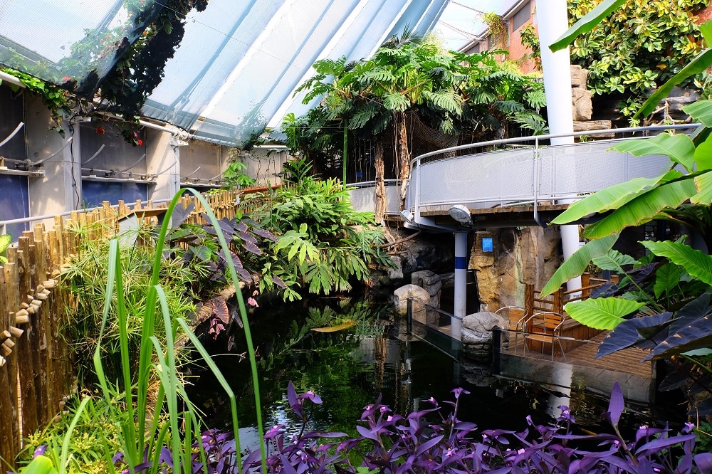 Botanical House Email