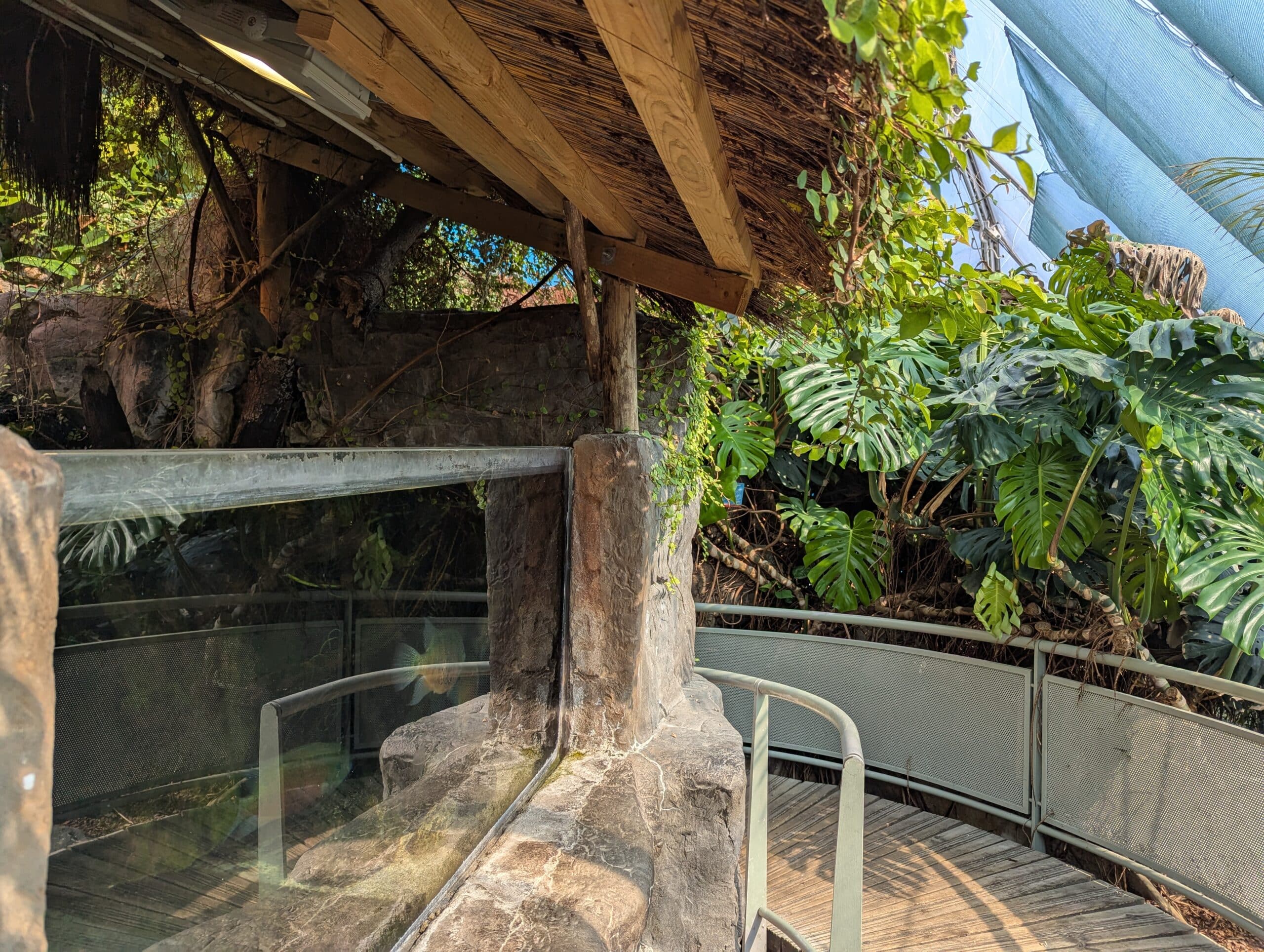 Urban Jungle - Featured Image