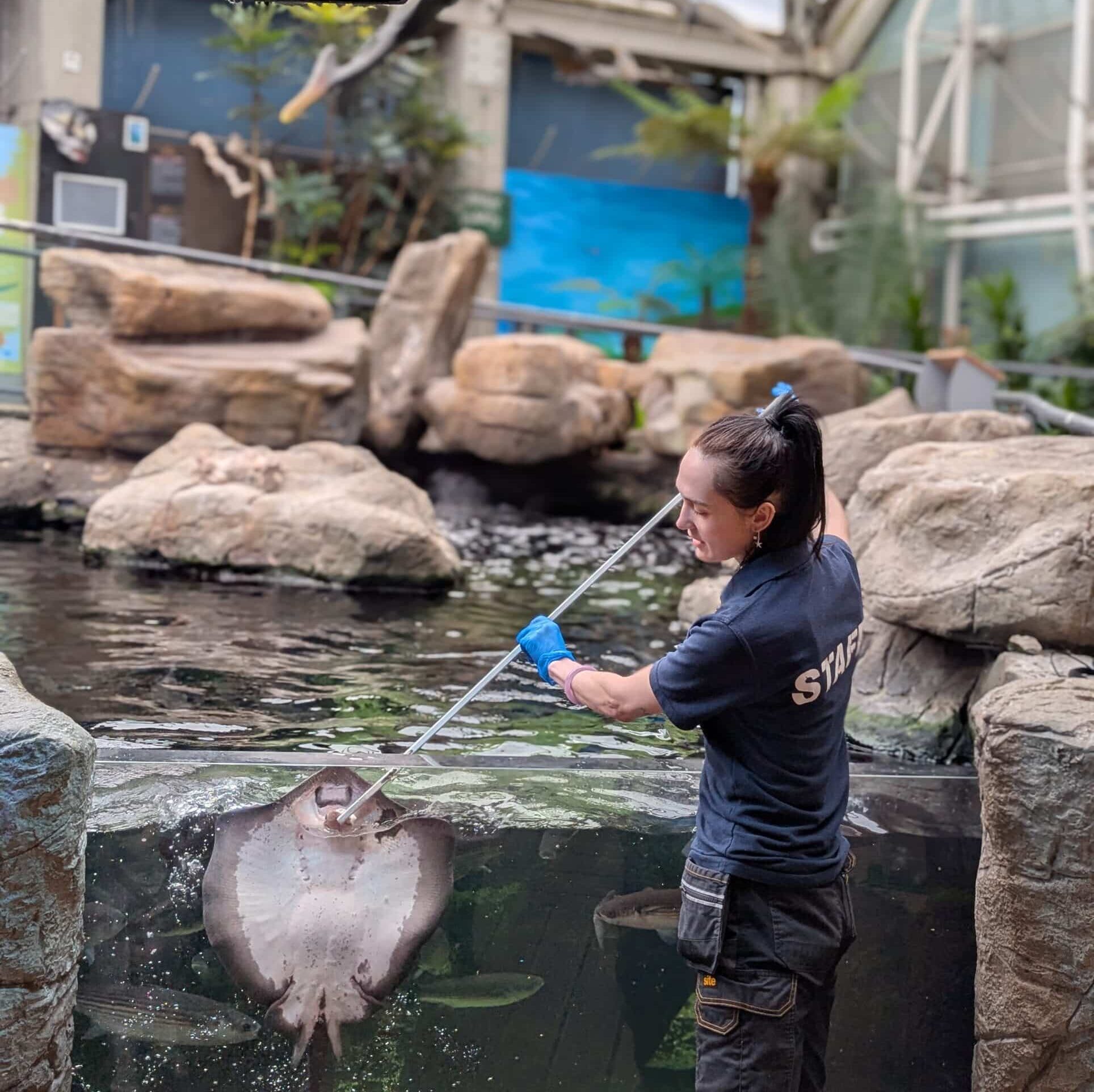 Check our our talks and feeds!