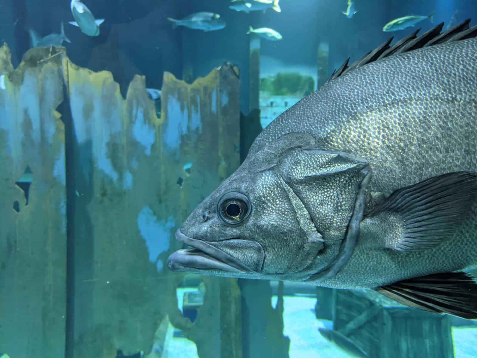 ab55fe39-d0ac-4694-9129-424b22d5df9a