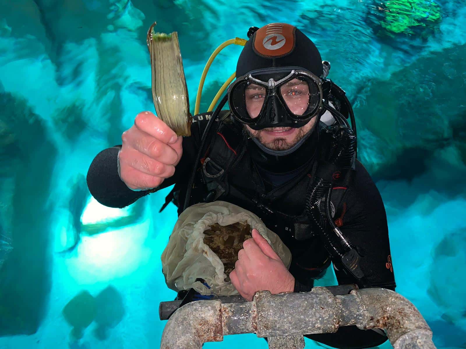 divers sep 2019 egg cases