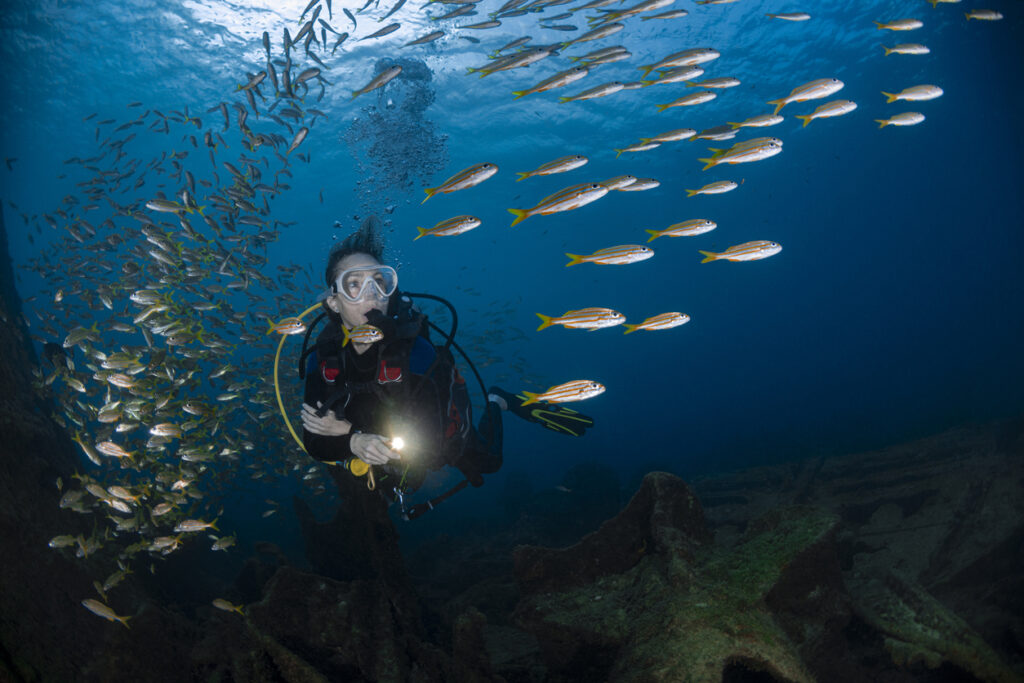female diver in the ocean amongst fish