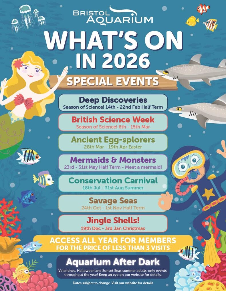 1766407485338-c410a1a0-7c92-4443-b023-f4a28e98721d_1