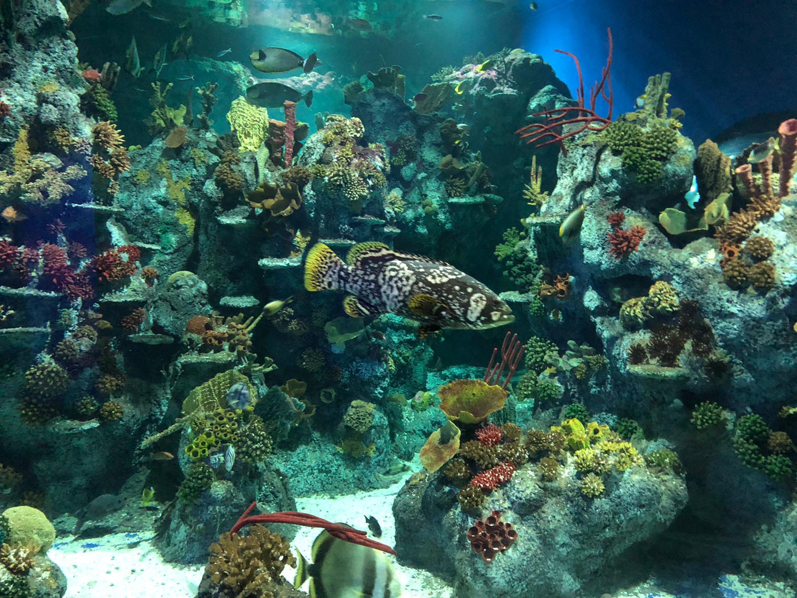 886c0b11-4bbc-435a-9672-80a2dd57e4eb