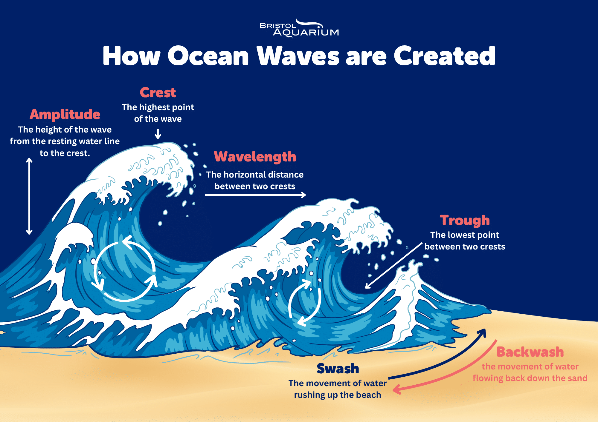 Ocean Waves: How Are They Created and Why Are They Important? - Bristol ...