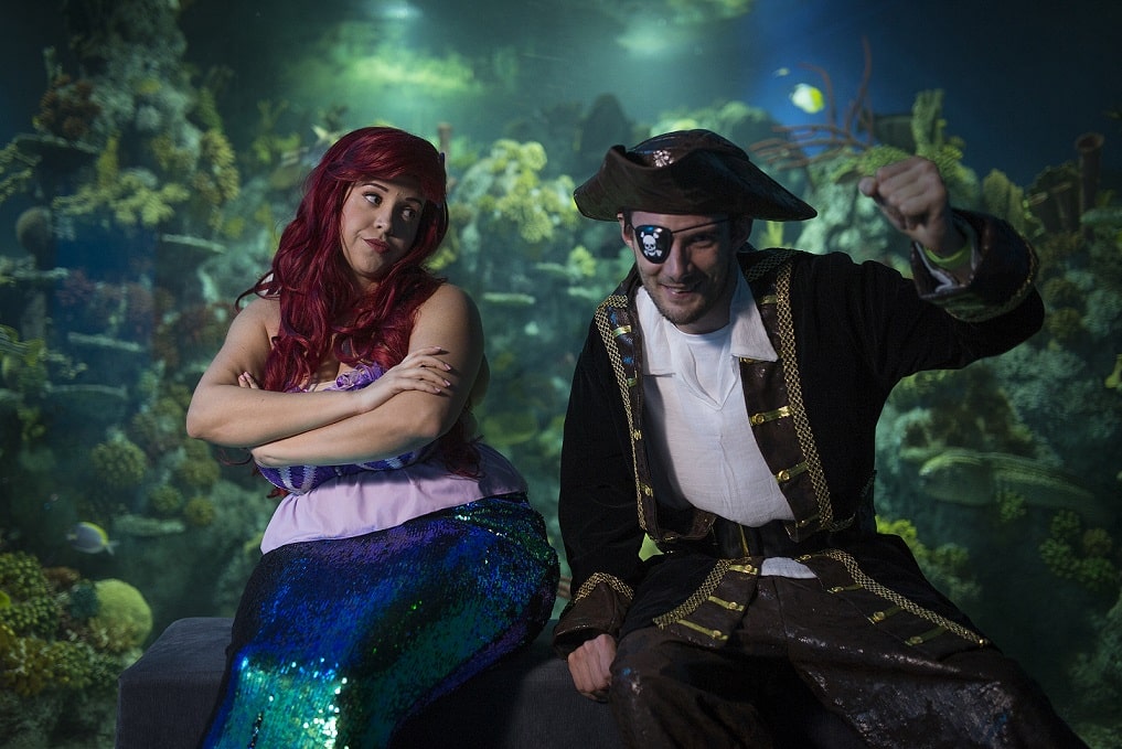Mermaid Vs Pirate