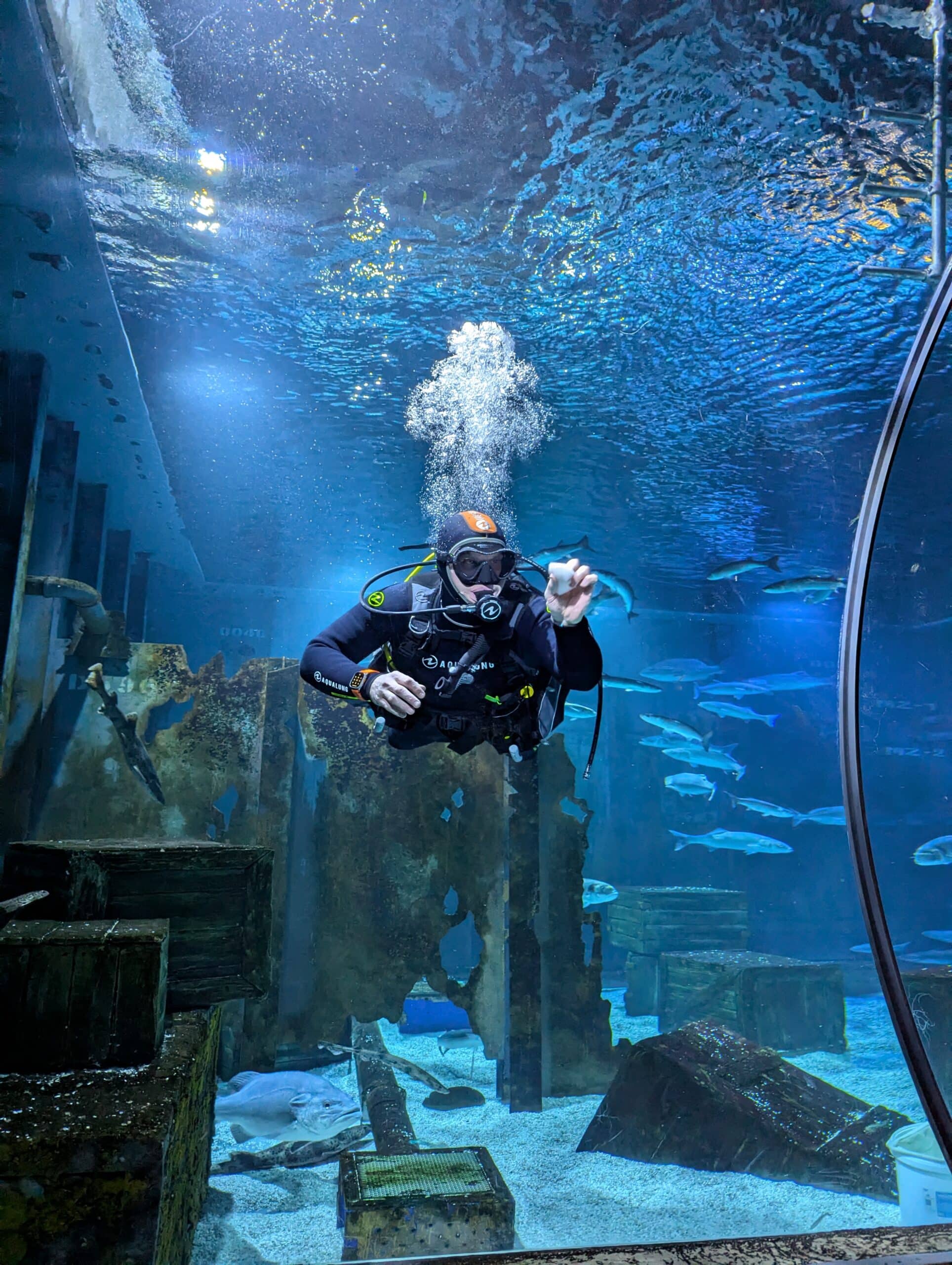 PXL_20250115_113850563.MP