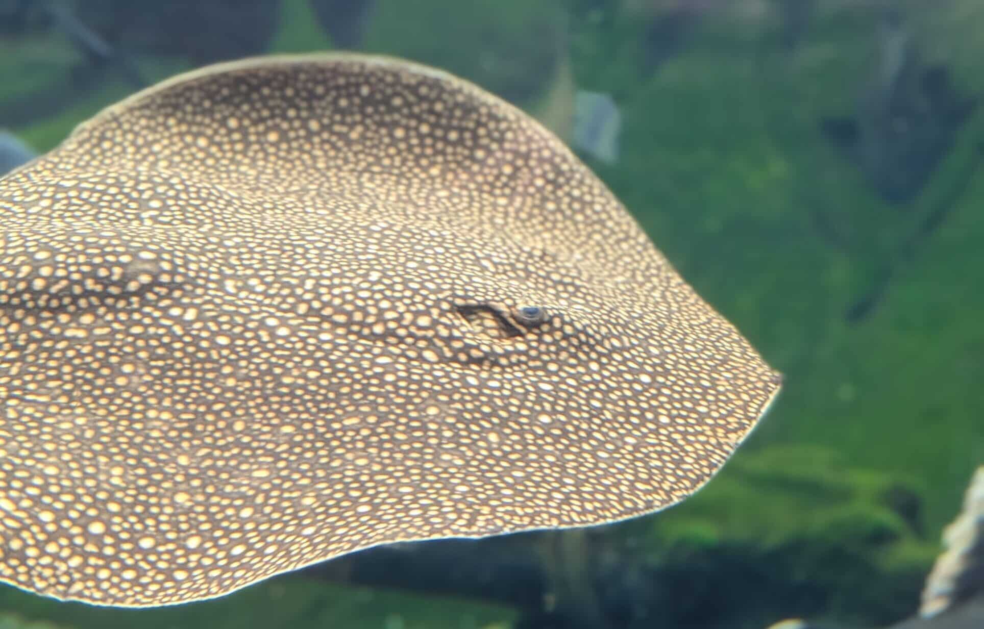 PXL_20250503_085750721.PORTRAIT