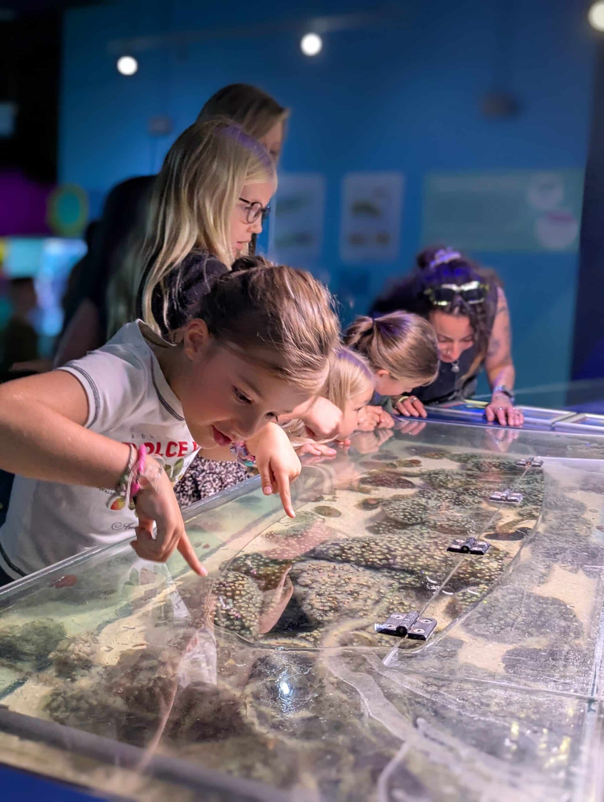 PXL_20250807_100932472.PORTRAIT