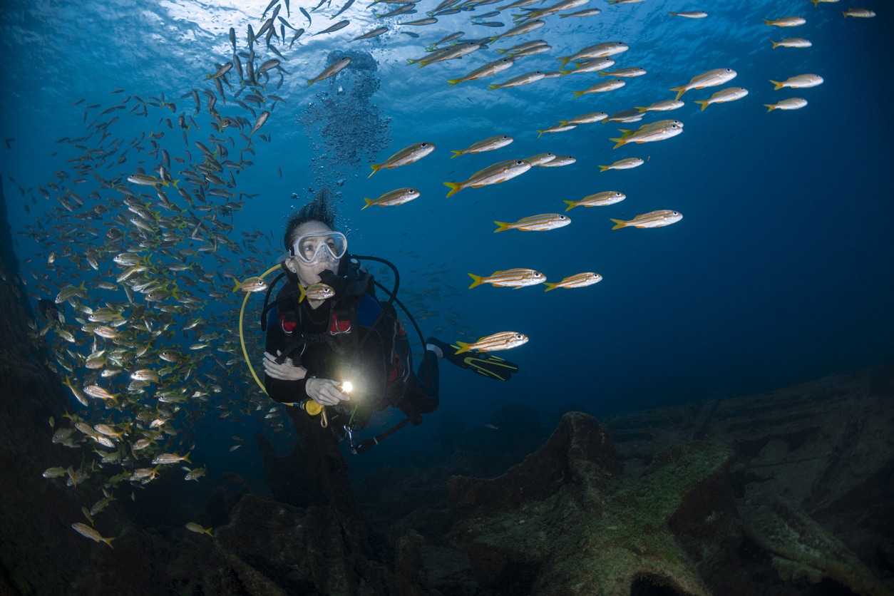 female diver in the ocean amongst fish