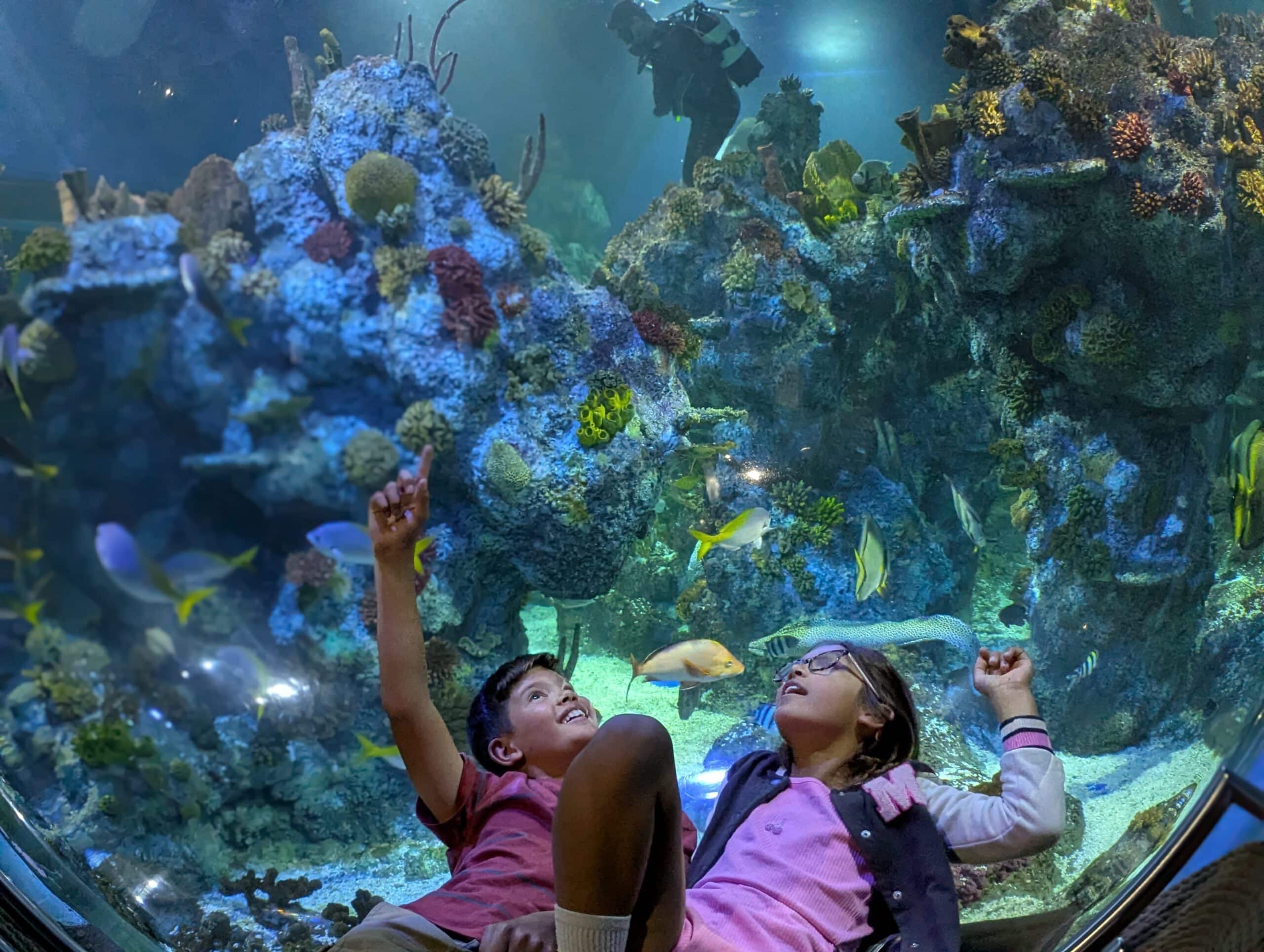 Bristol Aquarium 4